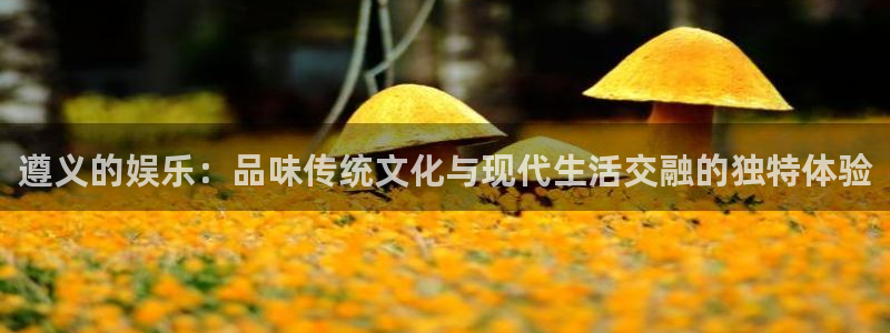 奇亿娱乐官方网站首页：遵义的娱乐：品味传统文化与现代生活交融的独特体验